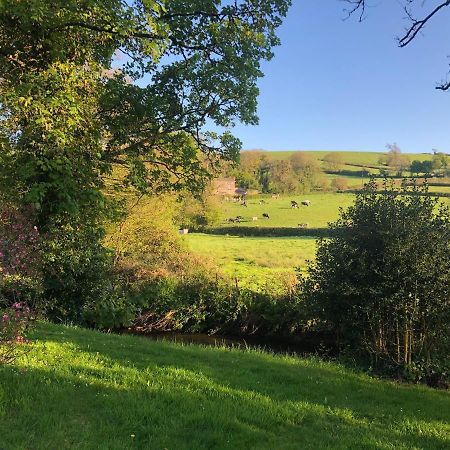 Bow Mill Farm Panzió Totnes Kültér fotó