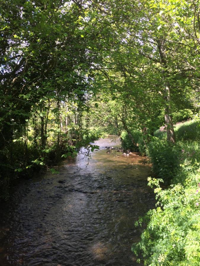 Bow Mill Farm Panzió Totnes Kültér fotó