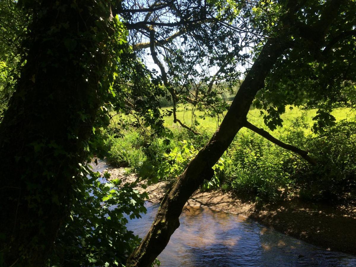 Bow Mill Farm Panzió Totnes Kültér fotó