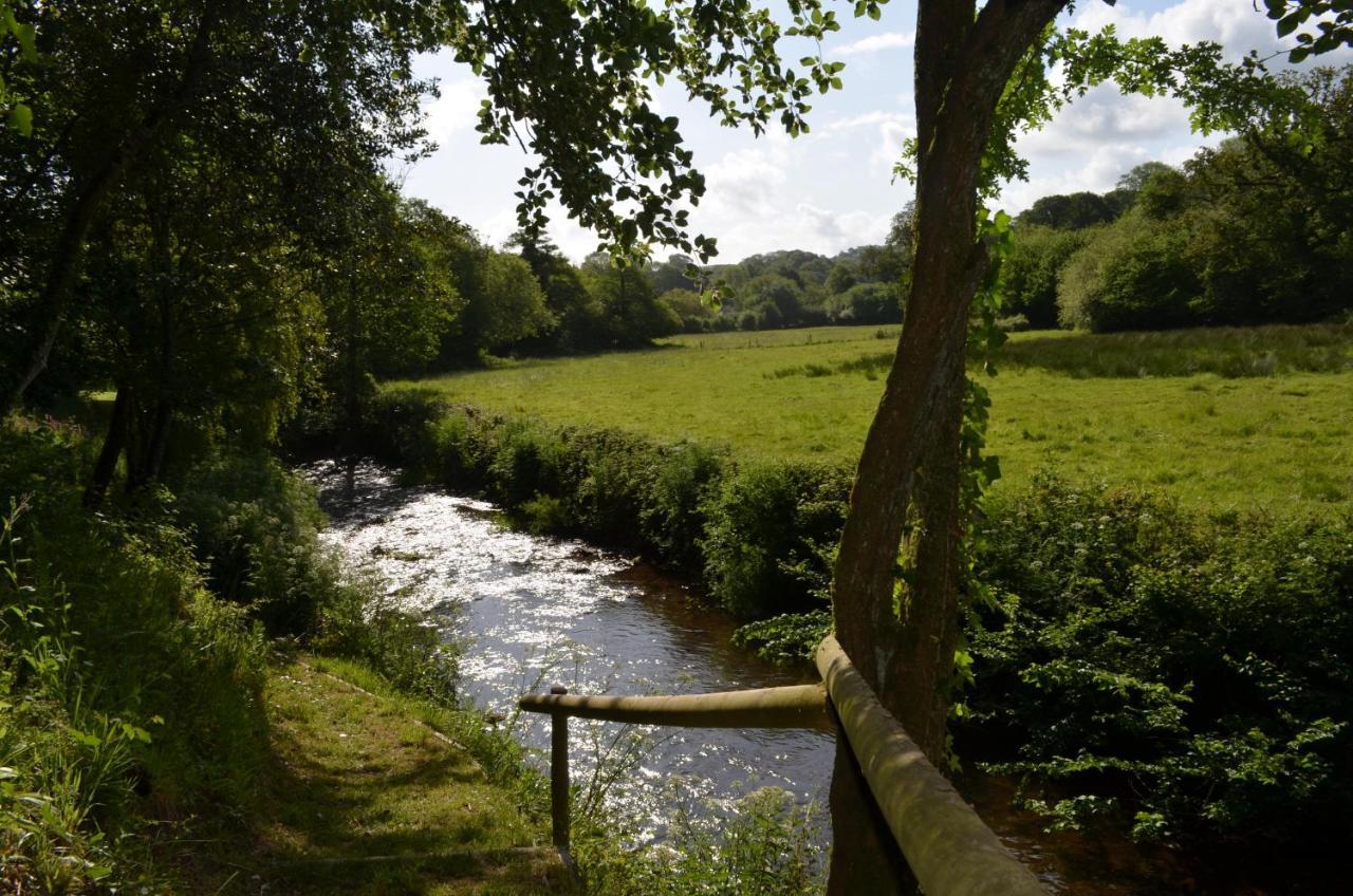 Bow Mill Farm Panzió Totnes Kültér fotó