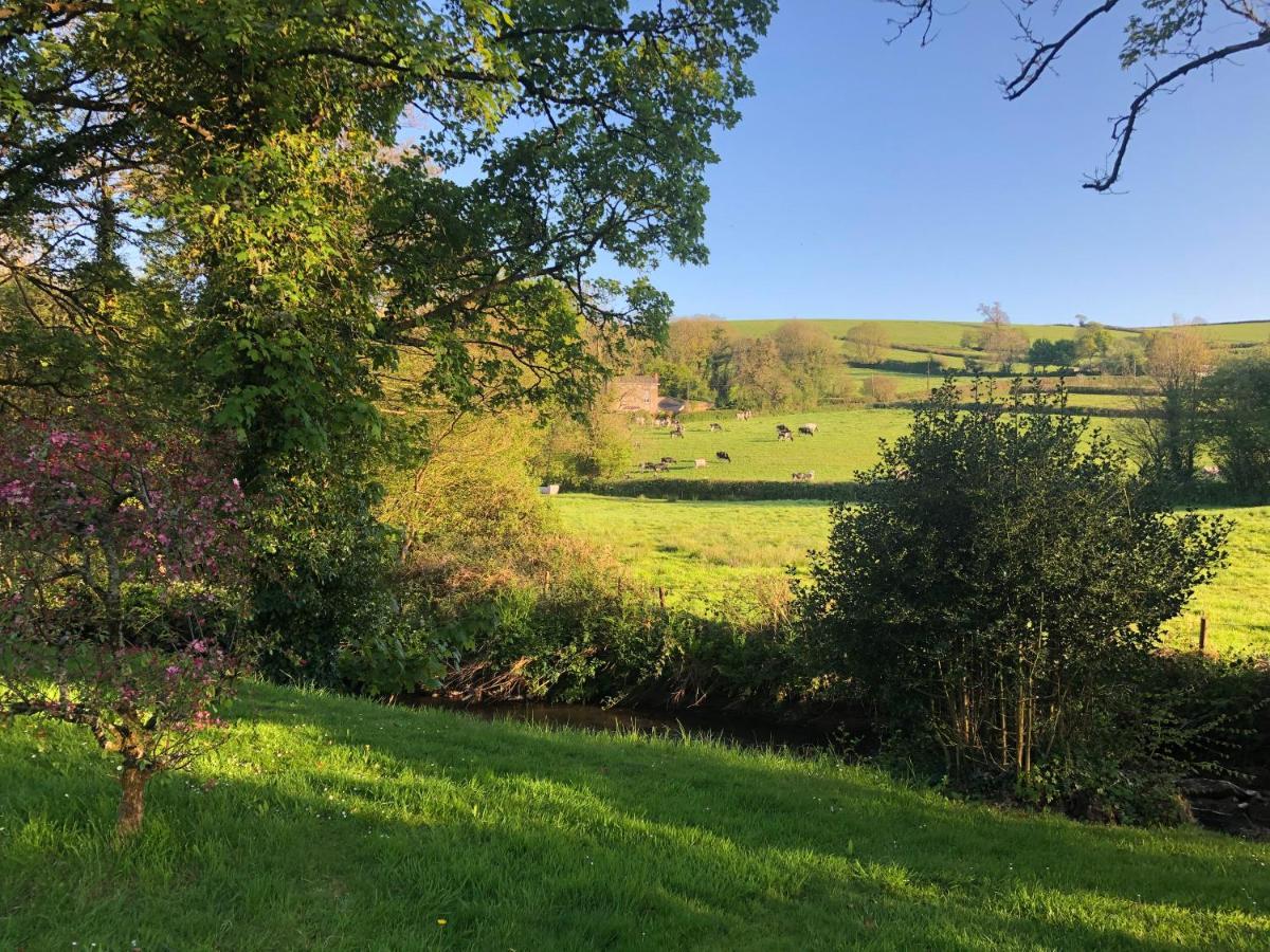 Bow Mill Farm Panzió Totnes Kültér fotó